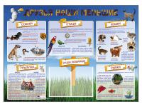 Стенд-уголок "Друзья наши меньшие"