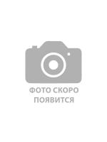 Дидактические и наглядные пособия (по предметным областям), интеллектуальные игры